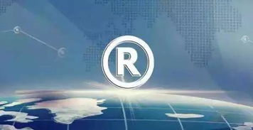 別讓你的商標(biāo)注冊遭遇不良影響 租賃服務(wù)的風(fēng)險與應(yīng)對